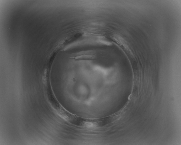 X0000070230167200606021356