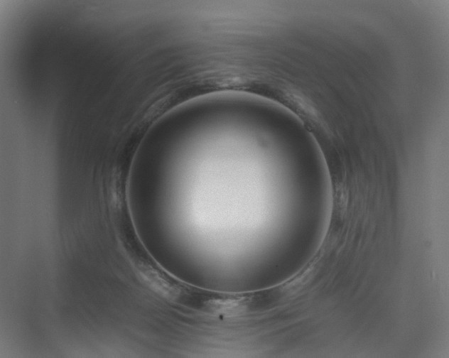 X0000070230170200606021356