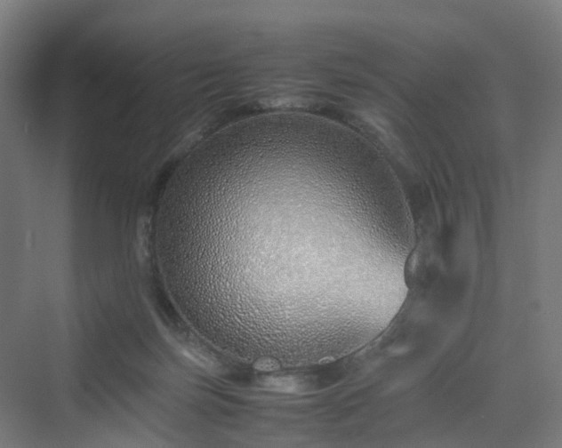 X0000070230171200606021356