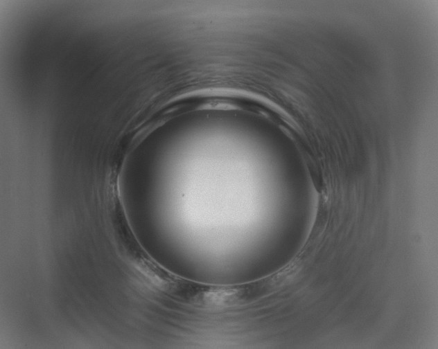 X0000070230172200606021356