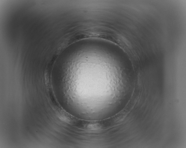 X0000070230173200606021356