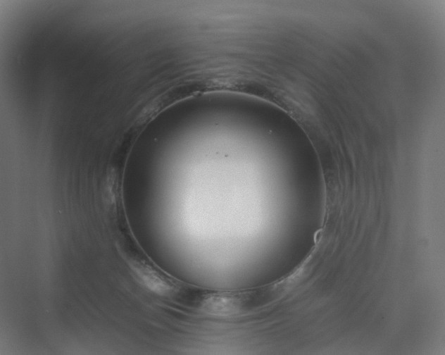 X0000070230174200606021356