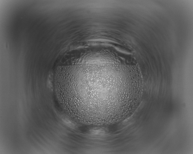 X0000070230175200606021356