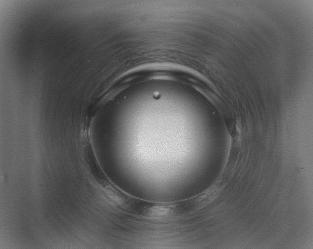 X0000070230176200606021356