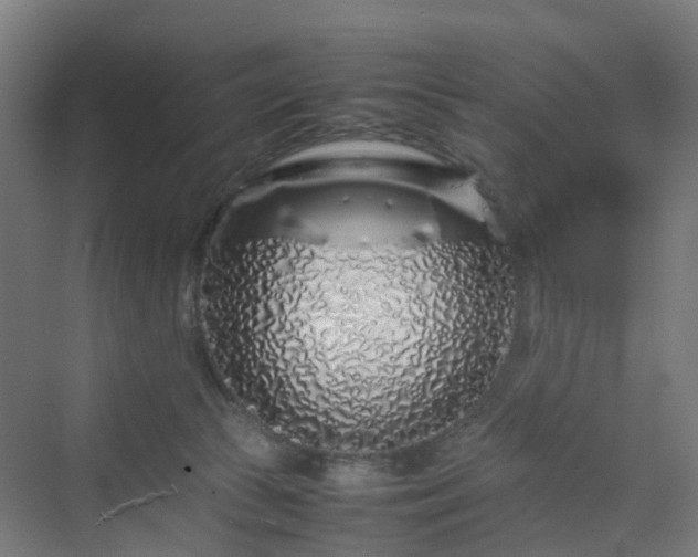 X0000070230177200606021356