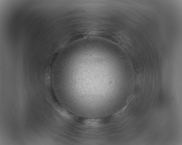 X0000070230179200606021356