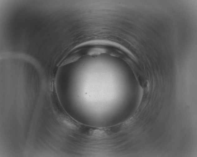 X0000070230180200606021357