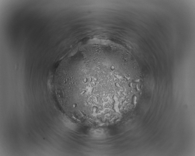 X0000070230181200606021357