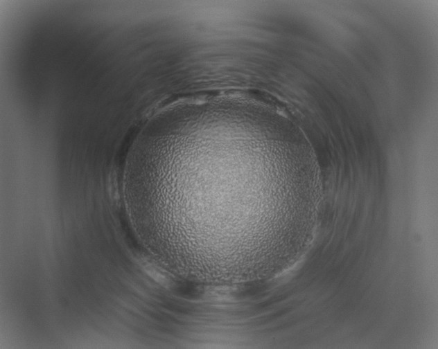 X0000070230182200606021357