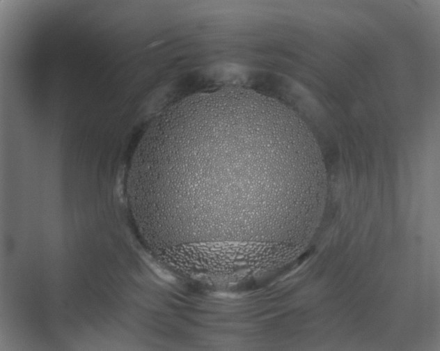 X0000070230185200606021357