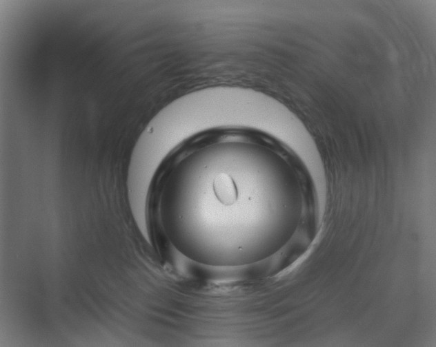 X0000070230186200606021357