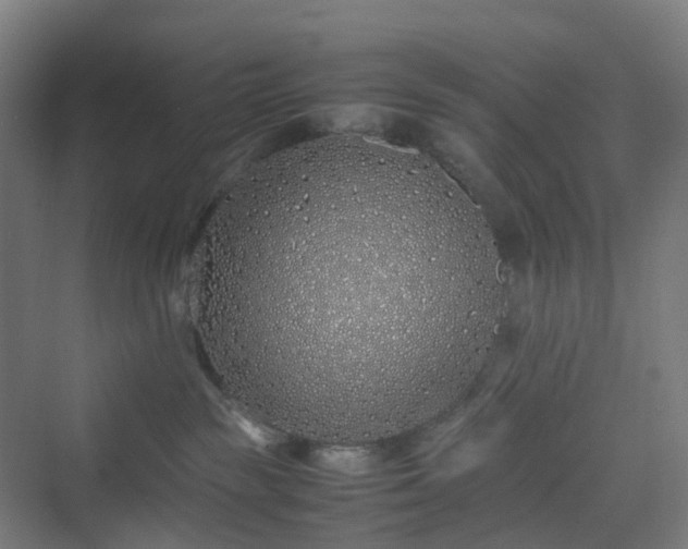 X0000070230189200606021357