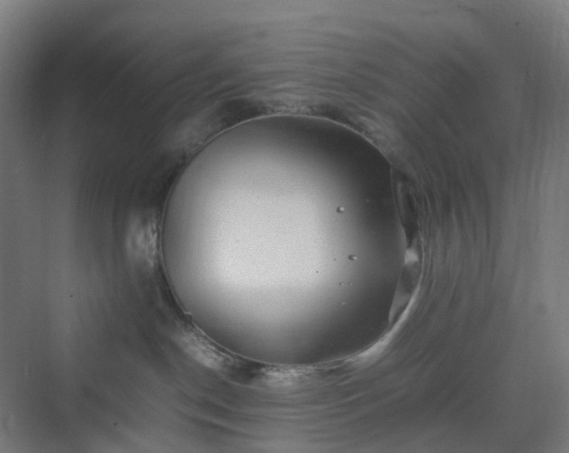 X0000070230190200606021357