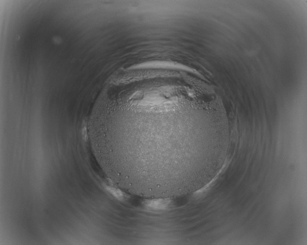 X0000070230191200606021357