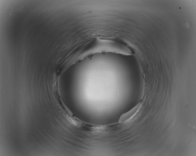 X0000070230192200606021357