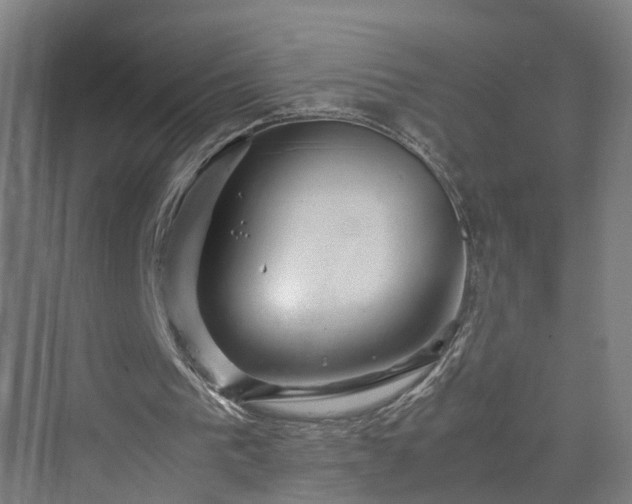 X0000070230193200606021356