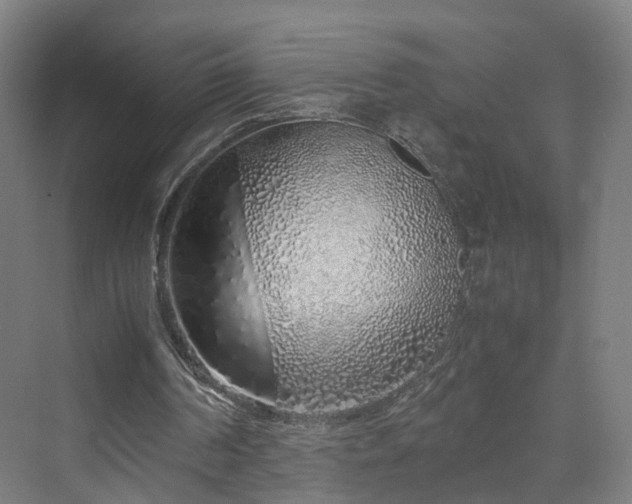 X0000070230194200606021356