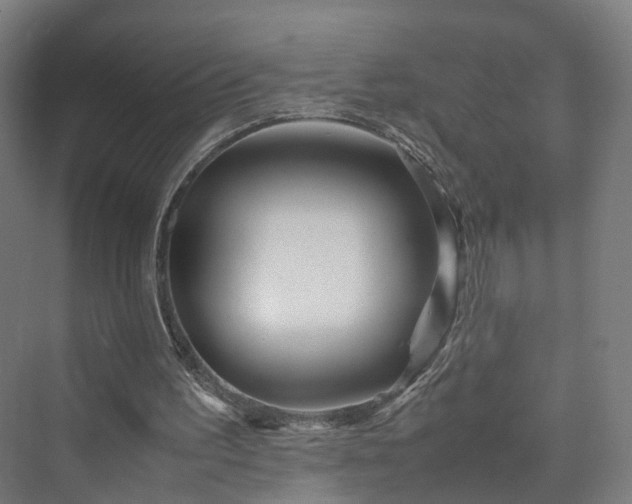 X0000070230195200606021356