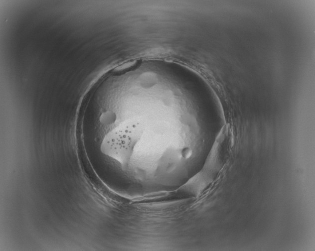 X0000070230196200606021356