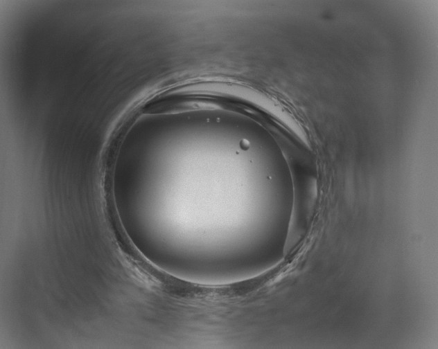 X0000070230197200606021356