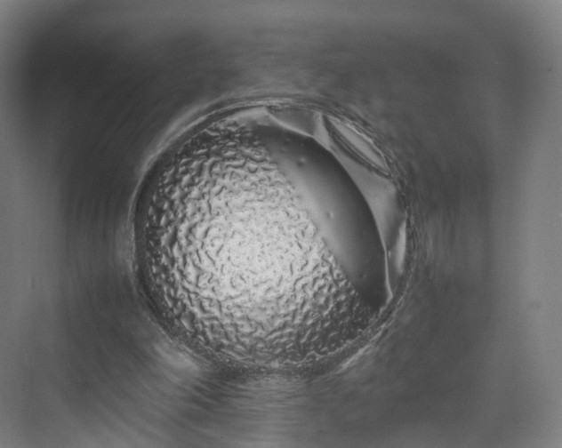 X0000070230198200606021356