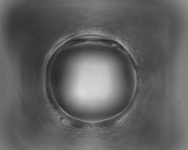 X0000070230199200606021356