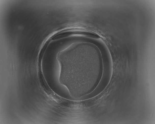 X0000070230200200606021356