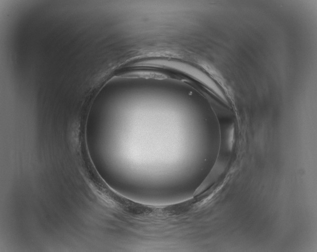 X0000070230201200606021356