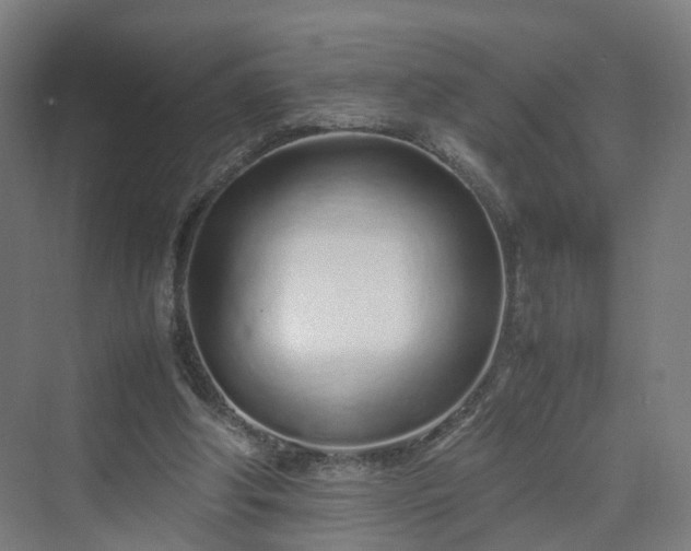 X0000070230202200606021356