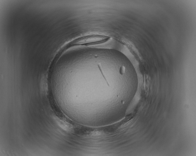 X0000070230204200606021356