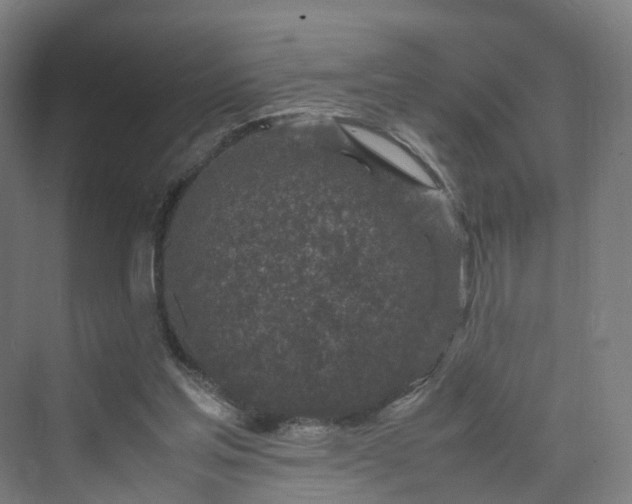 X0000070230205200606021356