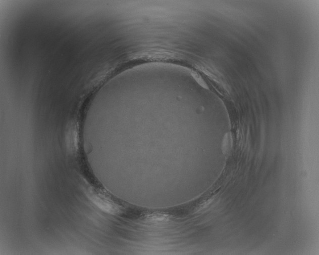 X0000070230206200606021356