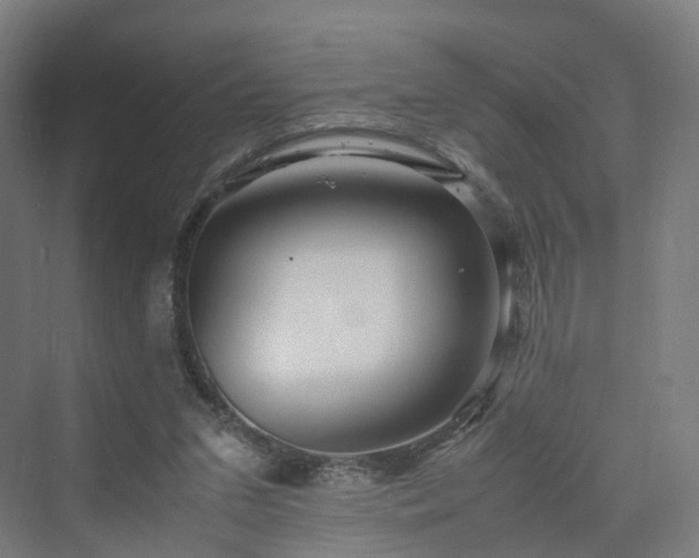 X0000070230207200606021356