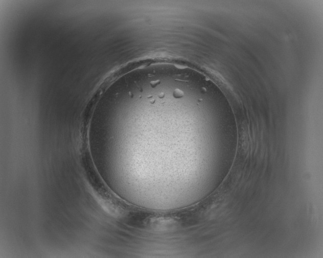 X0000070230208200606021356