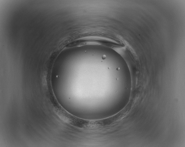 X0000070230209200606021356