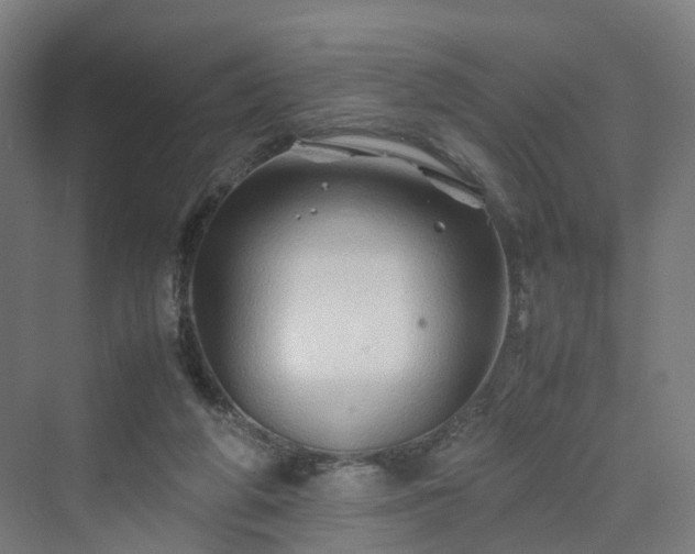 X0000070230210200606021356