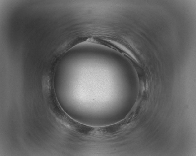 X0000070230211200606021356