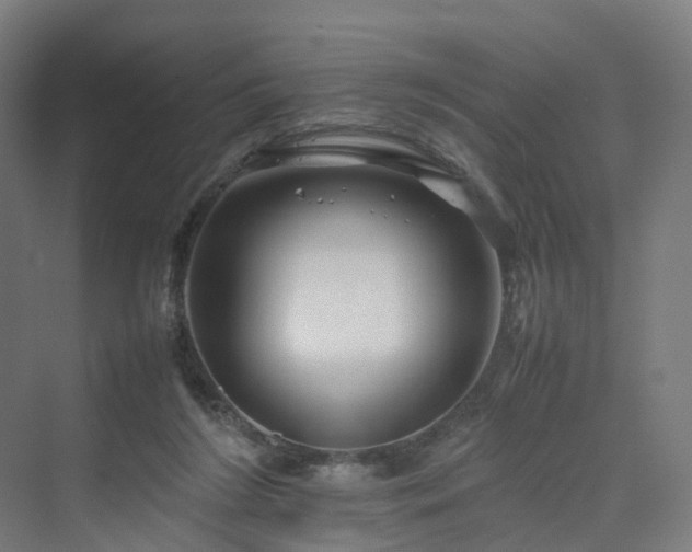 X0000070230212200606021356