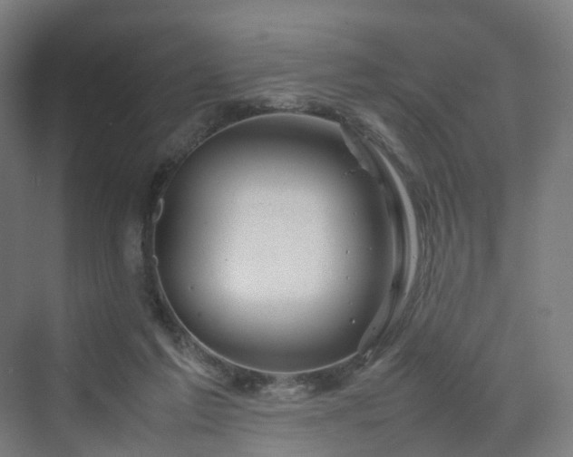 X0000070230213200606021356