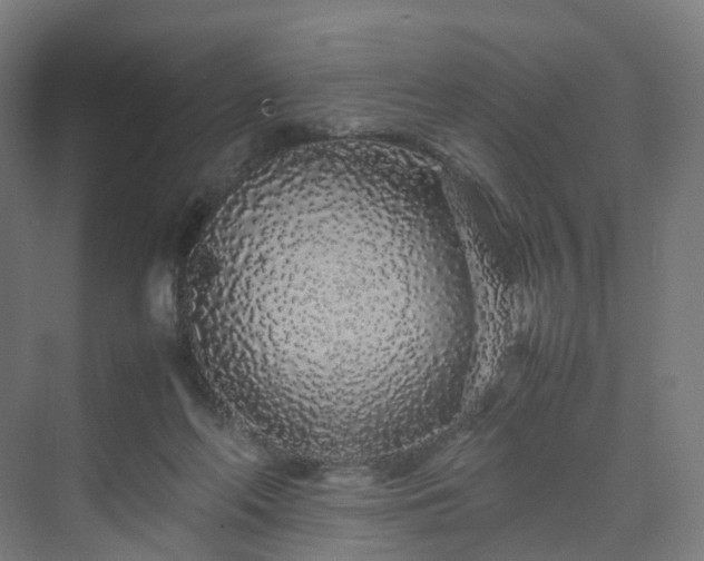 X0000070230214200606021356