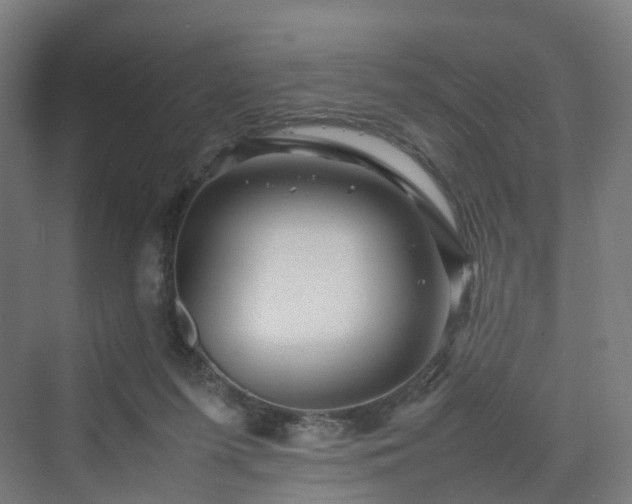 X0000070230215200606021356