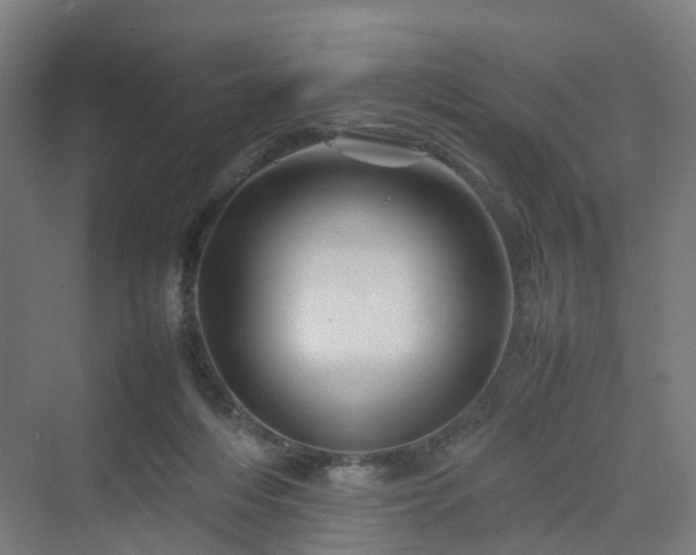 X0000070230216200606021356