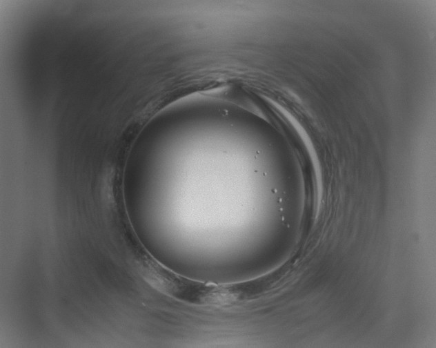 X0000070230217200606021356