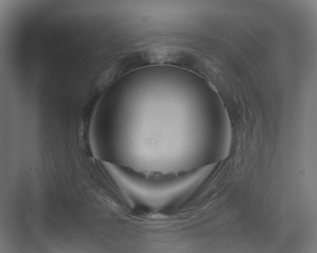 X0000070230219200606021355