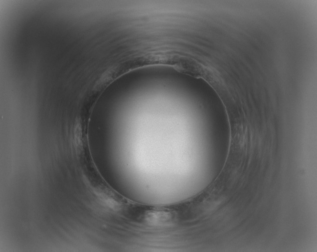 X0000070230220200606021355