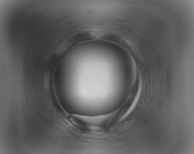 X0000070230221200606021355