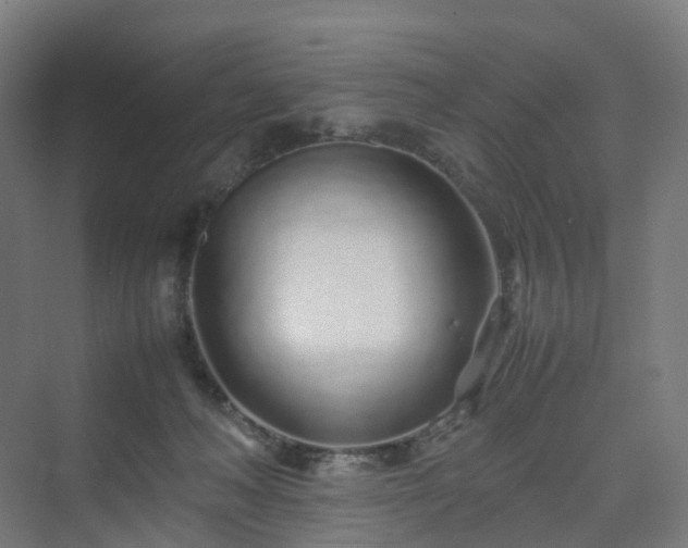 X0000070230222200606021355