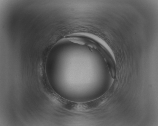 X0000070230223200606021355