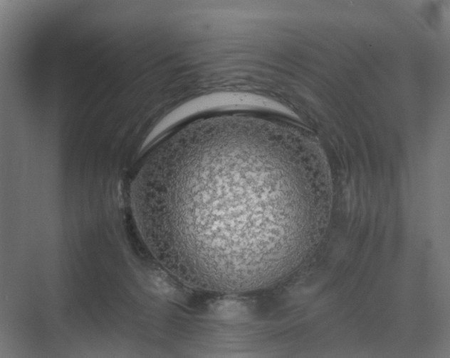 X0000070230224200606021355