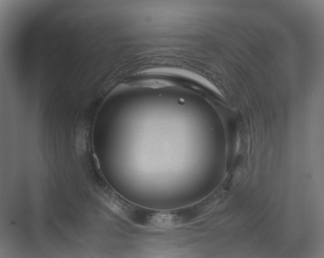 X0000070230227200606021355